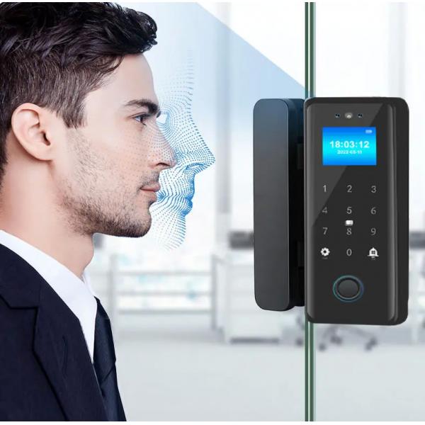 Quality Tuya Smart Fingerprint Door Lock 3D Face Passcode IC Card Glass Door Biometric for sale