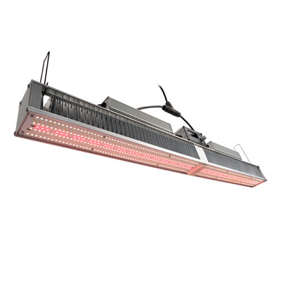 Quality 100-277VAC Led Supplemental Greenhouse Lighting 480W For Seedling Bloom for sale