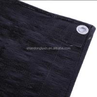 China 200 Gsm Black Tarpaulin for PE Tarpaulins and Waterproof Roof Covering Tents Awning factory
