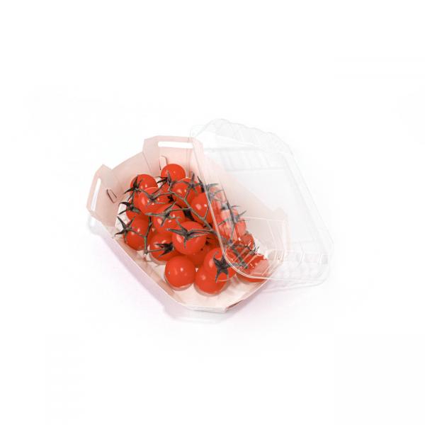 Quality Cherry Fruit And Vegetable Packaging Boxes , Folded Disposable Food Tray Boats for sale