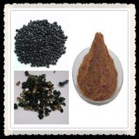 China Kosher Black Soybean Hull Extract Powder ( Anthocyanidin 5%-10%) factory