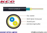 China 2 Fiber 4 Core Armored Fiber Optic Cable FTTA 4.8mm Customized ISO9001 Approval factory