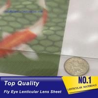 China PLASTIC LENTICULAR 17 lpi 3d fly eye lenticulars lens sheet PS dot lenticular lenses material factory