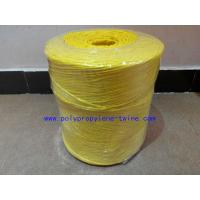 Quality 22500D Colorful Twisted Banana Hay Baling Twine Polypropylene String Free Sample for sale