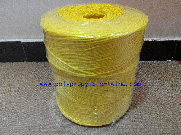 Quality 22500D Colorful Twisted Banana Hay Baling Twine Polypropylene String Free Sample for sale