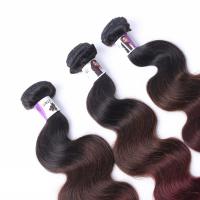 China 8-30 Inches 100% Human Hair Extension Ombre 3 Color Body Wave Brazilian Hair factory