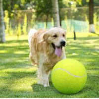 China 9.5 Inch Rubber Dog Tennis Ball With Inflating Needles factory