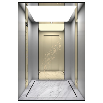 Quality Customized Design Passenger Elevators Villa Monarch Private Elevator Automatic Pass Stop for sale