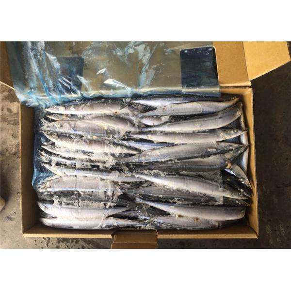 Quality #4 Frozen Pacific Saury for sale