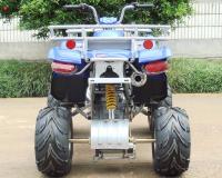 China Front Double A - Arm Utility Vehicles ATV 250cc With 8&quot; Rim Manual Clutch 4 - Speed + Reverse factory