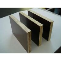 China Factory-directly sales film faced plywood ,commercial plywood ,MR, MELAMINE, WBP Shuttering plywood panel factory