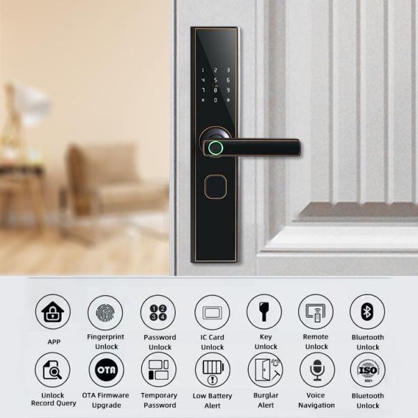 Quality 300mm Fingerprint Gate Lock FCC Black Digital Door Lock For Home Hotel for sale