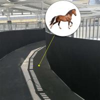 China Wearing Rubber Horse Walker Mats Hore Worker Rubber Horse For Horse Running And Walk factory