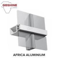 China Foshan 6063 T5 Aluminum curtain wall Profile for Custom Design Made for Tanzania factory