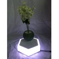 China new led light customize magnetic floating levitating air bonsai potted plant trees for sale