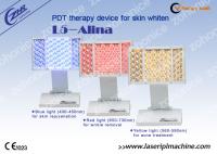 China PDT / Photon LED Skin Rejuvenation / Professional PDT LED Light Therapy Machine factory