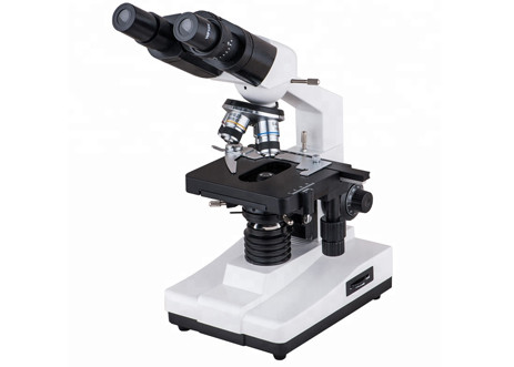 Quality WF10X 40X 1600X Student Biological Microscope School Lab Compound Binocular for sale