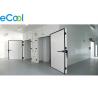 China Insulated PUR Panel Cold Room Storage Warehouse -18C ~ -20C For Plastic Packed Frozen Food factory