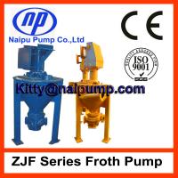 China 2QV-AF Slurry Froth Pump factory
