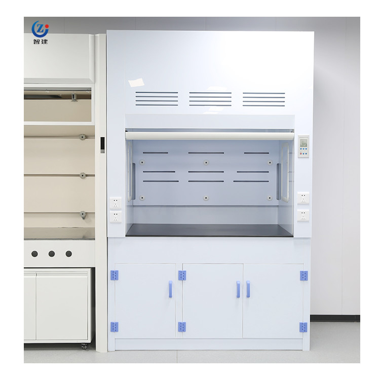 China Extracting Chemical Vent Hood , Corrosion Proof Optional Fan Lab Fume Hood factory