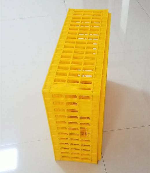 Manufacturer supply plastic poultry chicken cage for transport high quality breeding products