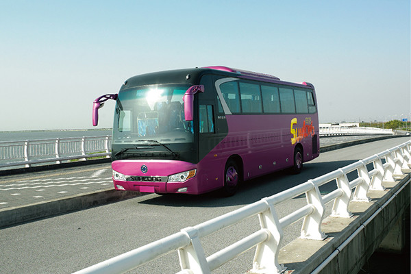 Quality Rose 24-52 Seater Coach Tour Bus Rear Rear Drive 6x2 Diesel Minibus for sale