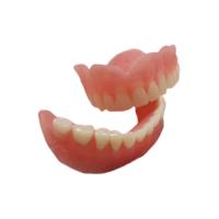 Quality Smooth Surface Rubber OEM Denture Dental Lab Digital Dental Models for sale