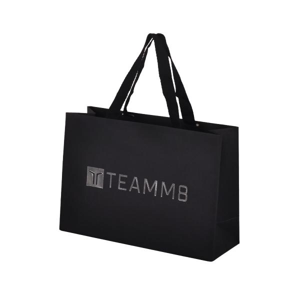 Quality 190gsm Custom Paper Bags With Handles 1 Inch Silver Hot Stamping Logo for sale