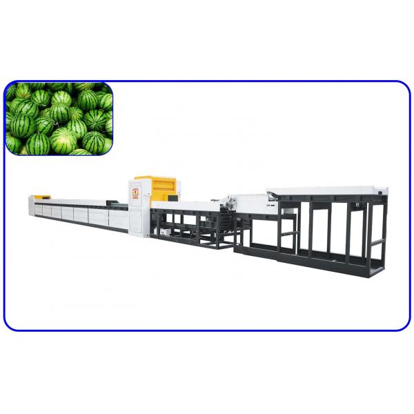 Quality Smart Fruit Sorting Machine Computer Control Watermelon Sorter Customized for sale
