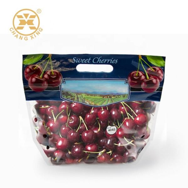 Quality 100g 500g Dry Fruit Packaging Bags With Hole Fresh Cherry Stand Up Pouches Eco Friendly for sale