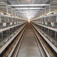 Quality U Type Q235 Metal Cage For Chickens , 3-8 Tiers H Type Poultry Chicken Cage for sale