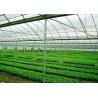 China High Elasticity Polyethylene Film Greenhouse For Vegetables / Cucumber / Tomato factory