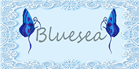 China Blue Sea  Embroidery Lace Company logo