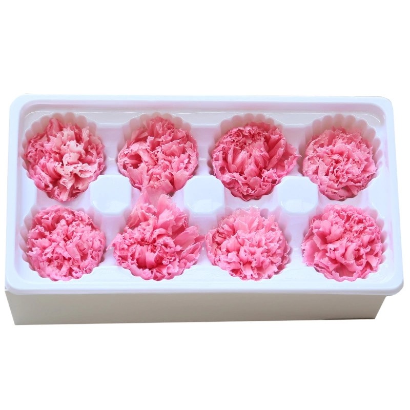 China Factory Price Preserved Flowers Real Preserved Carnation For Mother factory