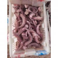 China For Thailand Fish Market A Grade IQF Frozen Indian Squid Tentacles Cut Wholes factory
