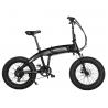 China 20in Electric Mountain Bike 4.0 Fat Tire Electric Bicycle Beach 350W factory