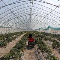 China Single Tunnel Uv Hydroponic Film Single Span Greenhouse For Watermelon Growing factory