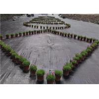 China 100gsm Black Weed Control Ground Cover PP Woven Fabric PP Woven Ground Cover factory