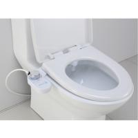 China Single Nozzle Washing Bathroom Bidet Attachment Royalstar Travel Portable Bidet factory