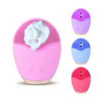 China Wireless 2.4W Electric Facial Cleansing Brush 5Volt electric face washer factory