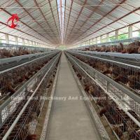 China China Export Quality Battery Broiler Chicken Cage Automatic Nigeria Star factory