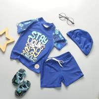 China Carton Picture Boys Swimwear Sets Nylon Split Boys Swimming Suit With Hat UPF50++ factory