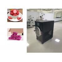 China High-Performance Lab Freeze Dryer for Accurate Drying Results factory