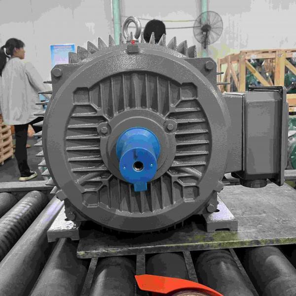 Quality Accurate Braking High Efficiency Electric Motor With ISO9001 for sale