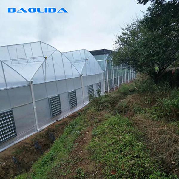 Quality Reinforced Plastic Sheeting Greenhouse For Tropical Climate Prefabricated for sale