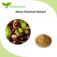 China Natural Horse Chestnut Extract Aescin / Aesculus Hippocastanum Extract factory