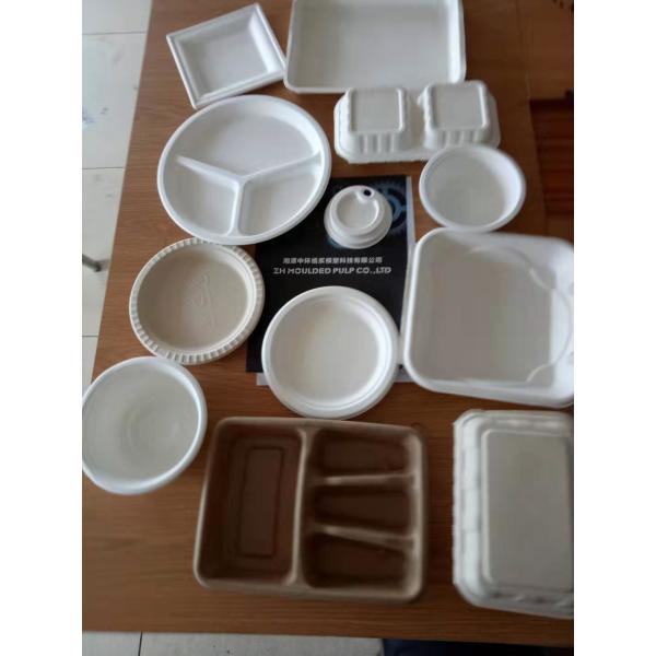 Quality Heavy Bagasse Pulp Molding Machine Eco Friendly Take Away Food Container Making for sale