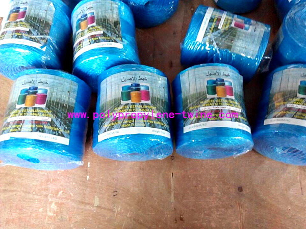 Quality 22500D Polypropylene Tying Twine for sale