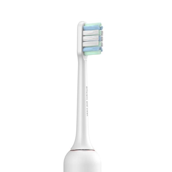 Quality Vibration Adult Electric Toothbrush Slim Waterproof USB Charging Rechargeable for sale