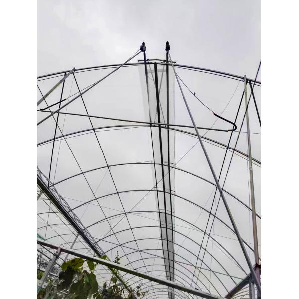 Quality Double Layer PE Film Multi Span Film Greenhouse With Hydroponic System for sale